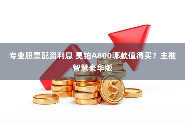 专业股票配资利息 昊铂A800哪款值得买？主推智慧豪华版