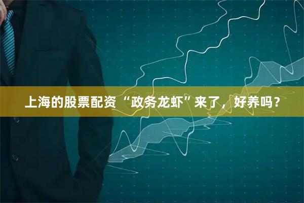 上海的股票配资 “政务龙虾”来了，好养吗？
